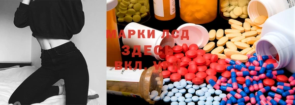 гидра Алексеевка