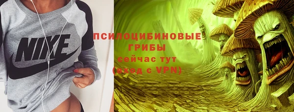 гидра Алексеевка